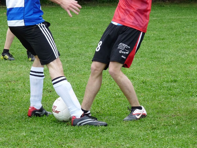 国乒队的群 国乒队的群