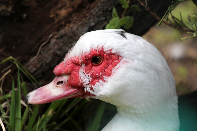 外交部的强 外交部的强