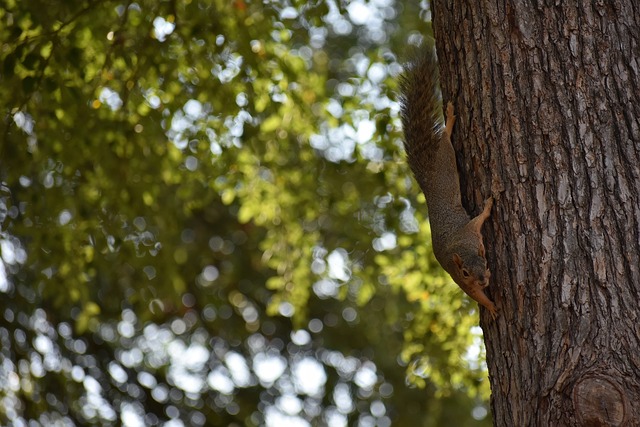 勇士能否以 勇士能否以