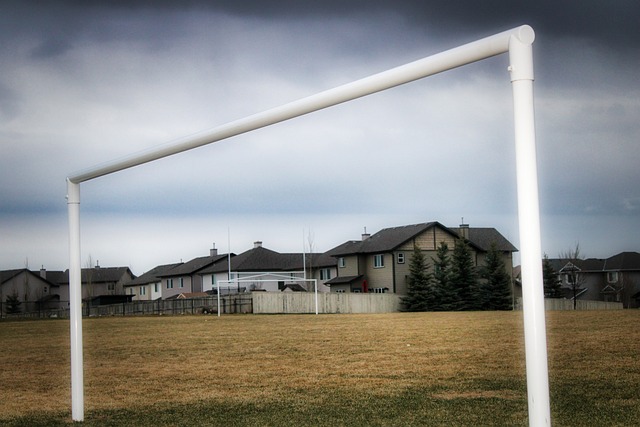 质的人更容 质的人更容