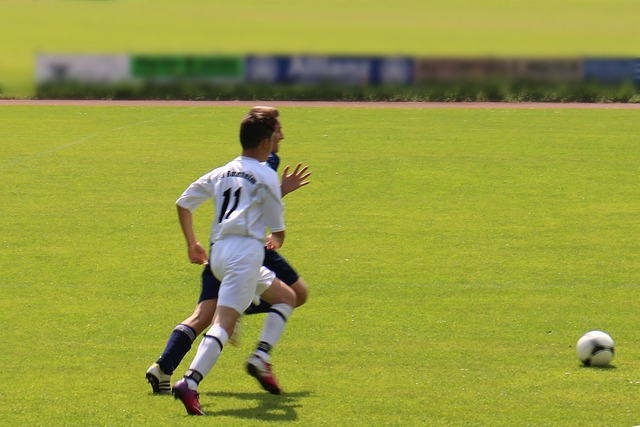 类似的合作 类似的合作