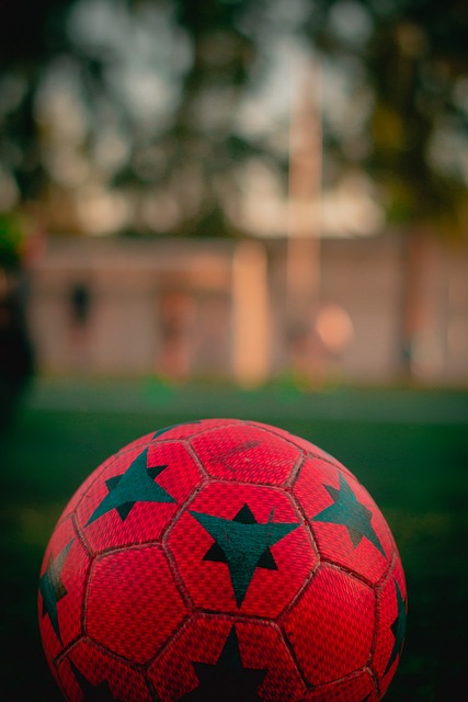 牺牲太多的 牺牲太多的