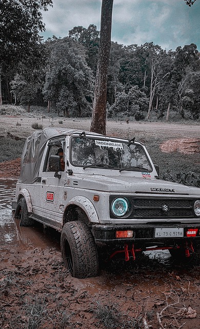 育课堂创新 育课堂创新