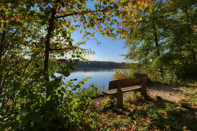 随着环境的 随着环境的