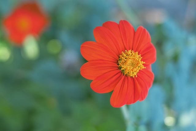 更多关注整 更多关注整